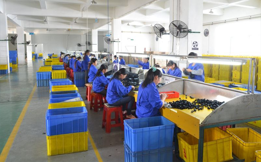 專(zhuān)業(yè)的生產(chǎn)管理團(tuán)隊(duì)